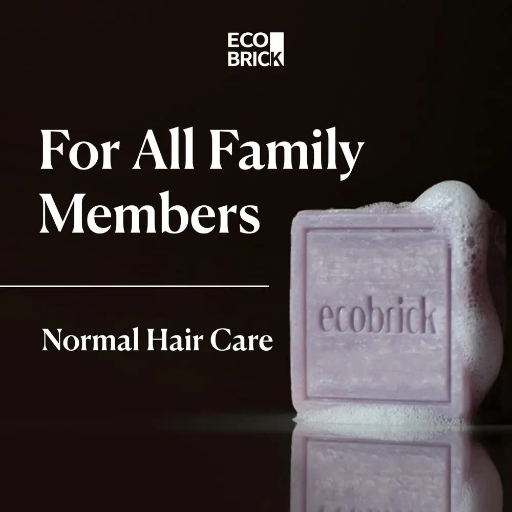 ECOBRICK Mild Acidic Shampoo Bar - Normal Hair Care Eco Brick