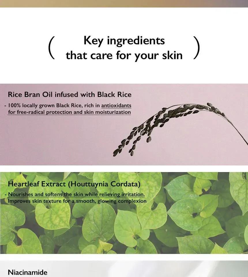 Black Rice Pure Mineral Relief Daily Sunscreen Haruharu Wonder