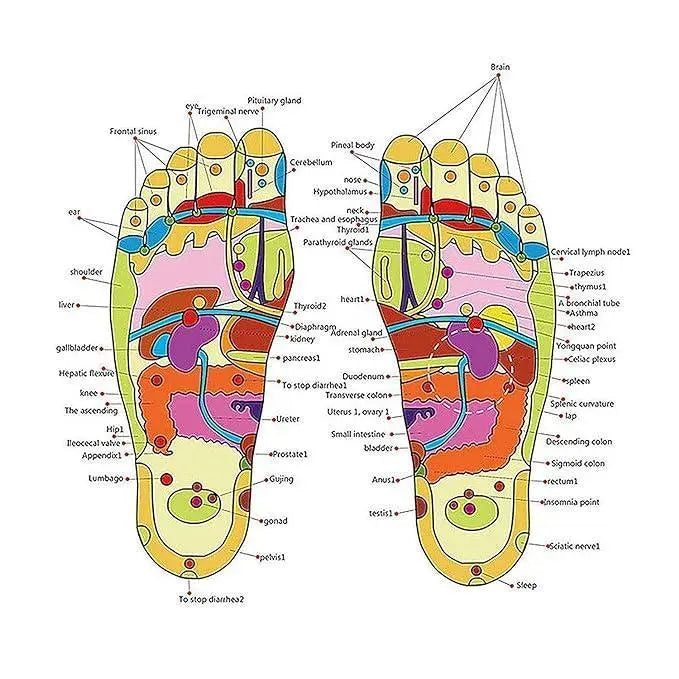 Natural Foot Slippers Massager None